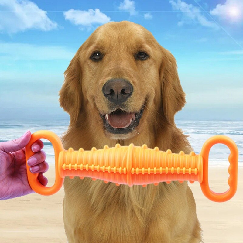 Pet Interactive Squeaky Pool Floating Toys