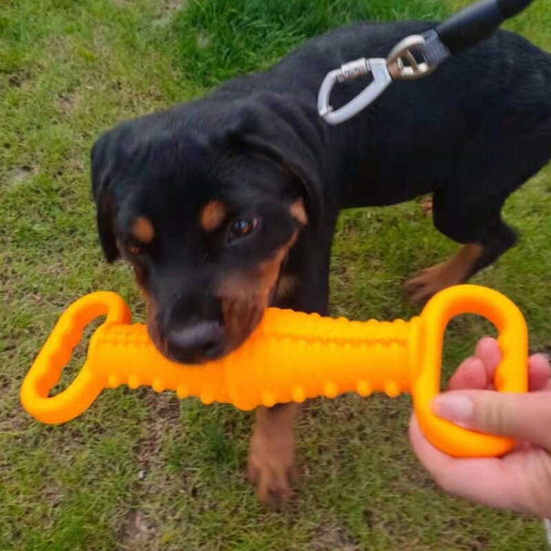 Pet Interactive Squeaky Pool Floating Toys