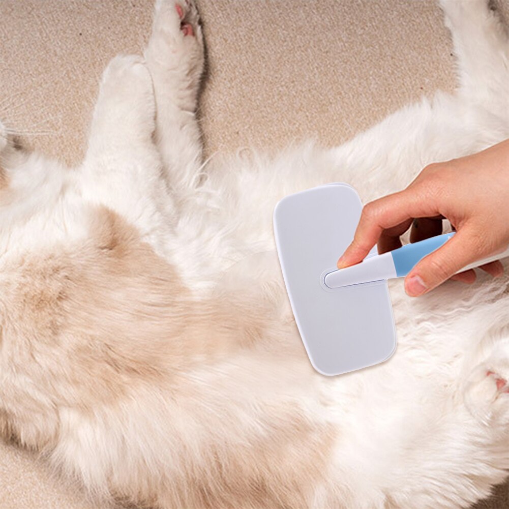 Pet Hair Removal Brush