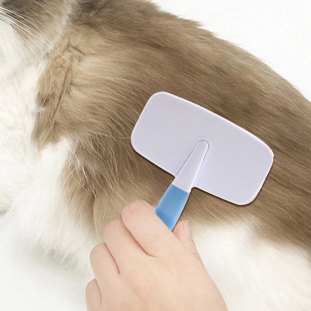 Pet Hair Removal Brush