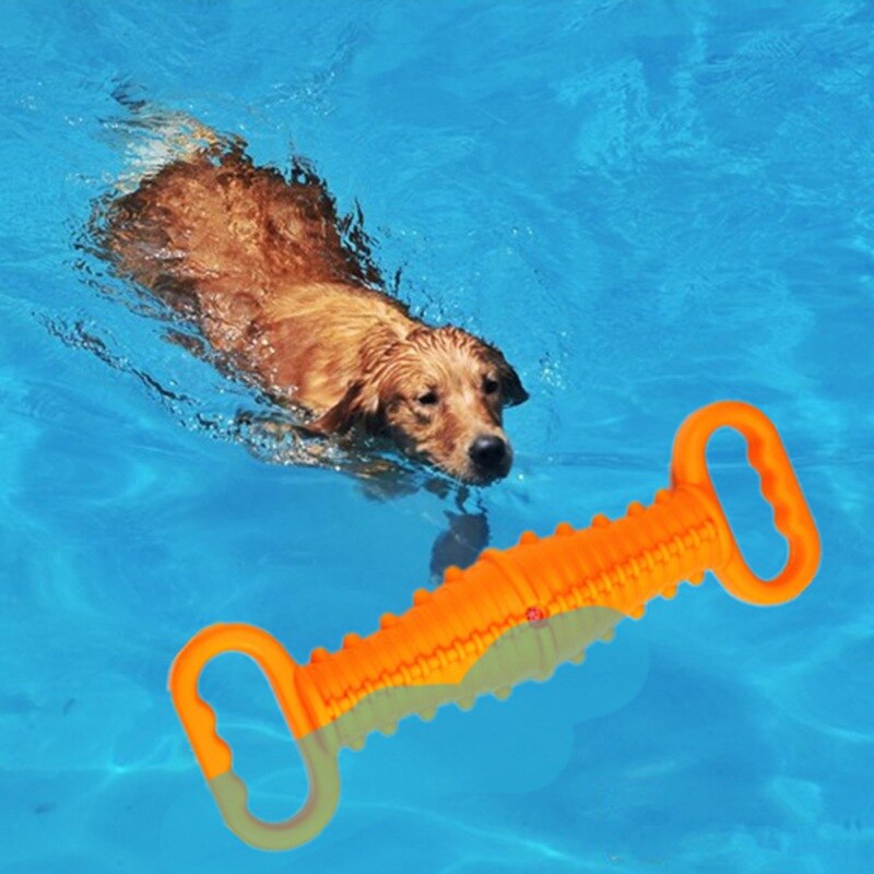 Pet Interactive Squeaky Pool Floating Toys