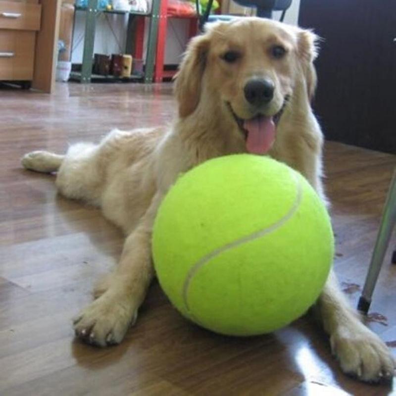 Giant Tennis Ball For Dog