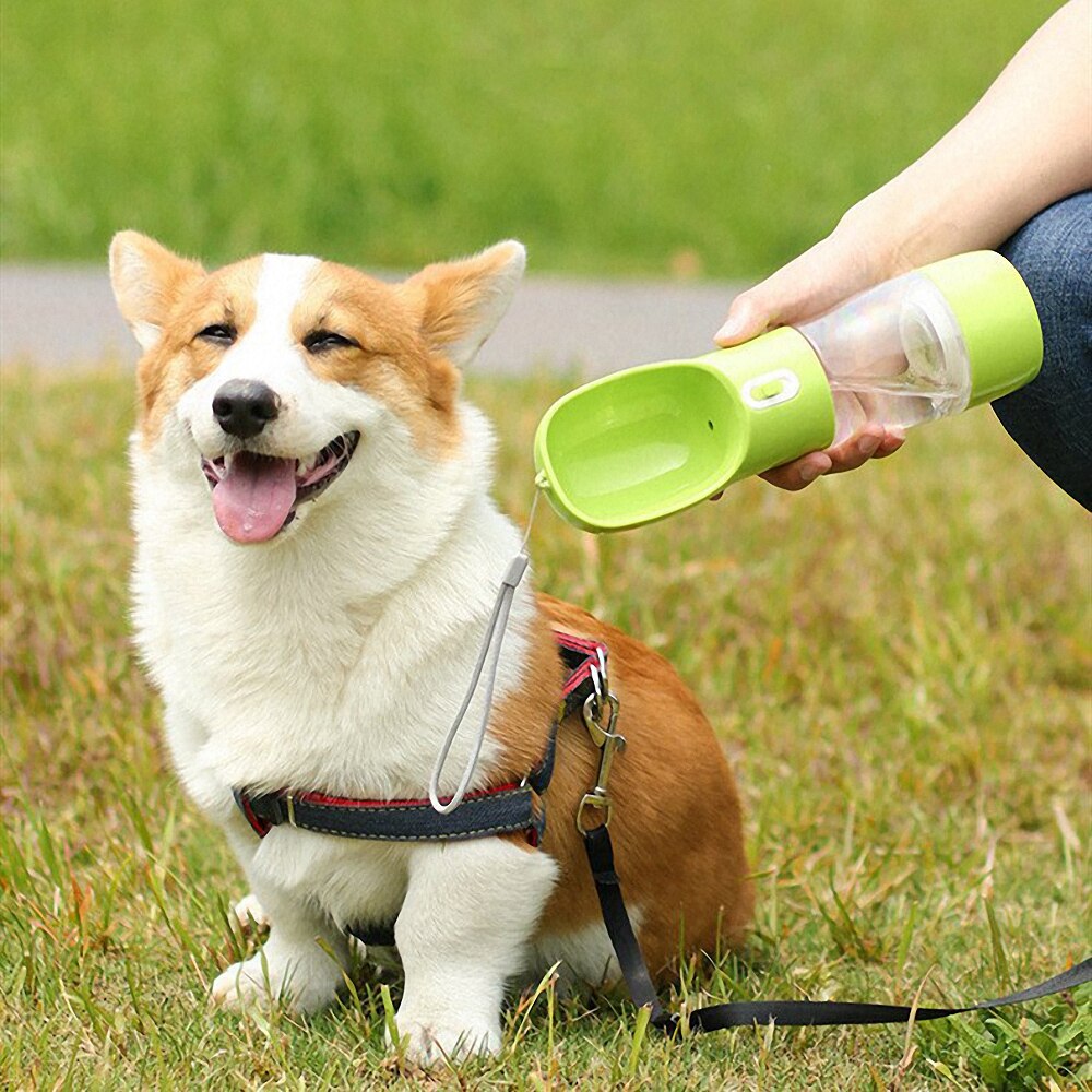 Pet Water Feeder Bottle