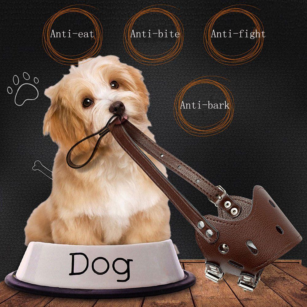 Adjustable Leather Dog Training Products