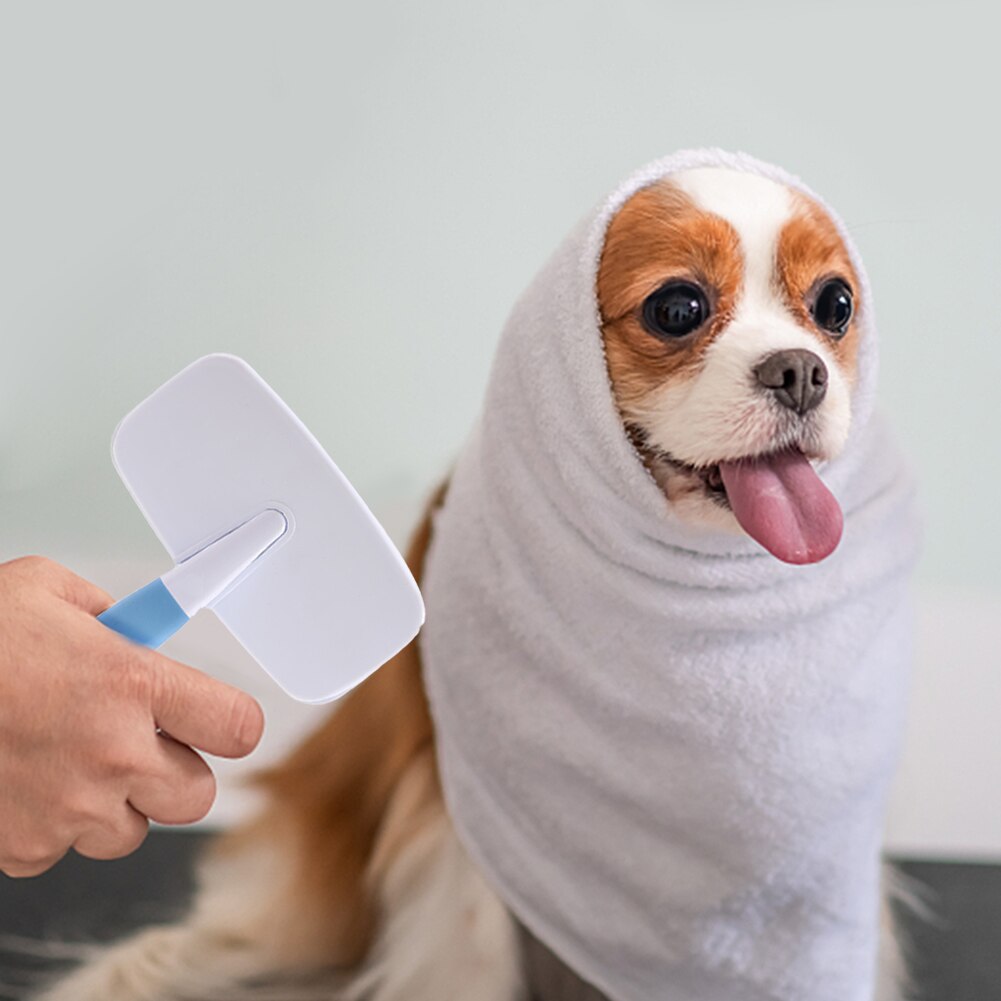 Pet Hair Removal Brush